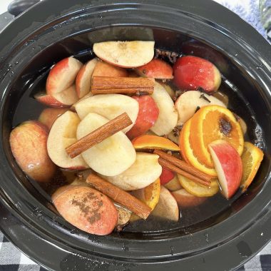 slow cooker apple cider