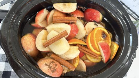 slow cooker apple cider