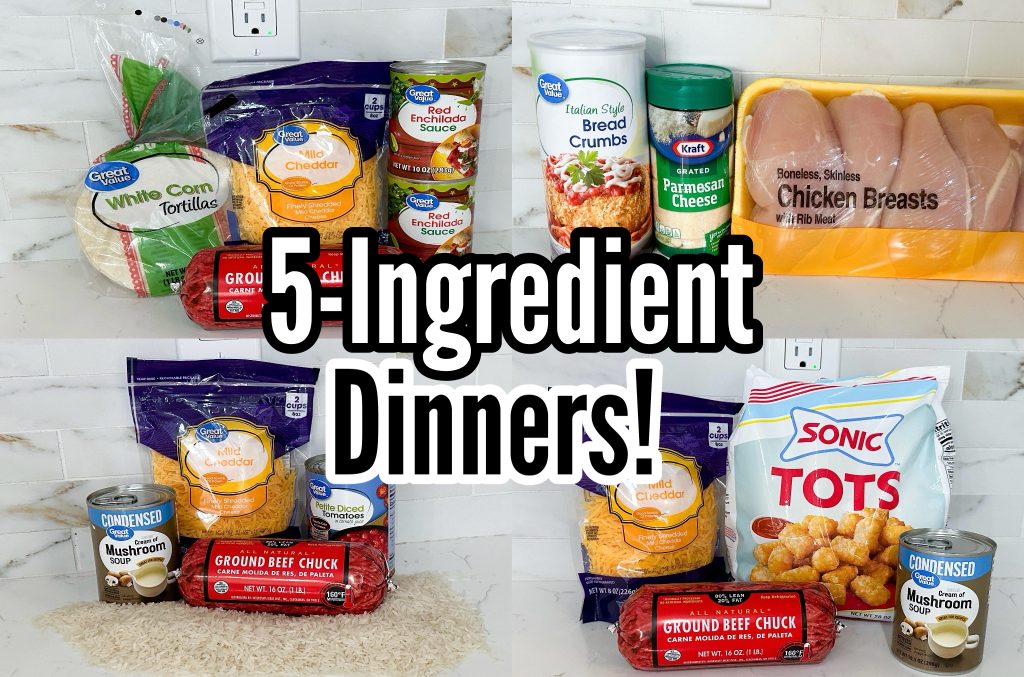 Easy 5 Ingredient dinner recipes