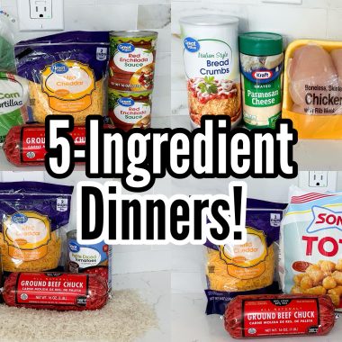 Easy 5 Ingredient dinner recipes