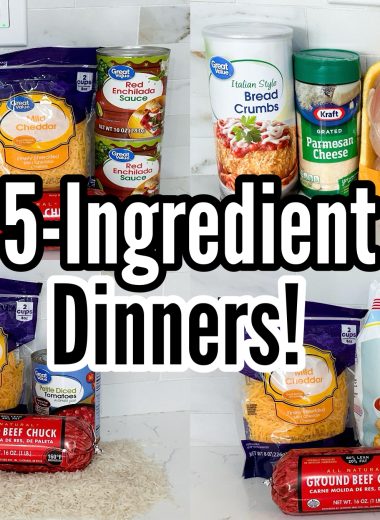 Easy 5 Ingredient dinner recipes