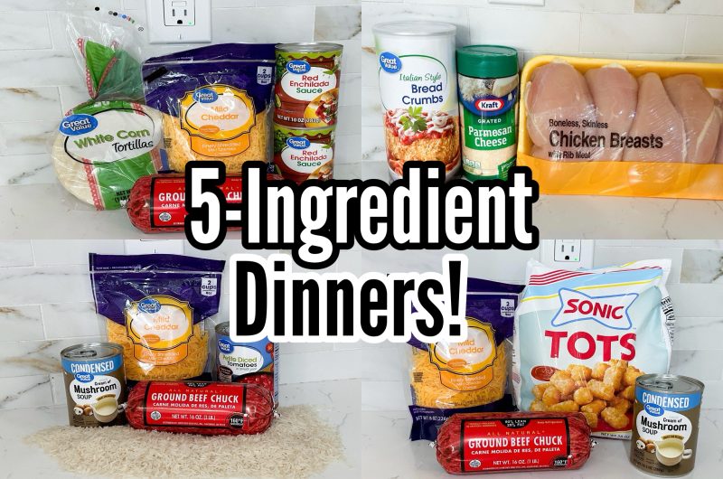 Easy 5 Ingredient dinner recipes