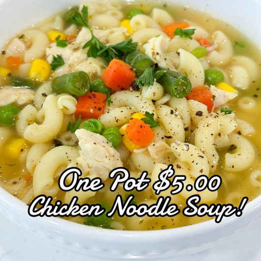 one pot chicken noodle soup