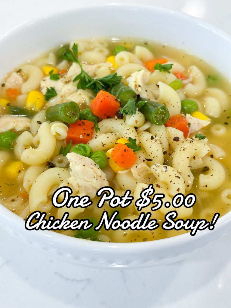 one pot chicken noodle soup