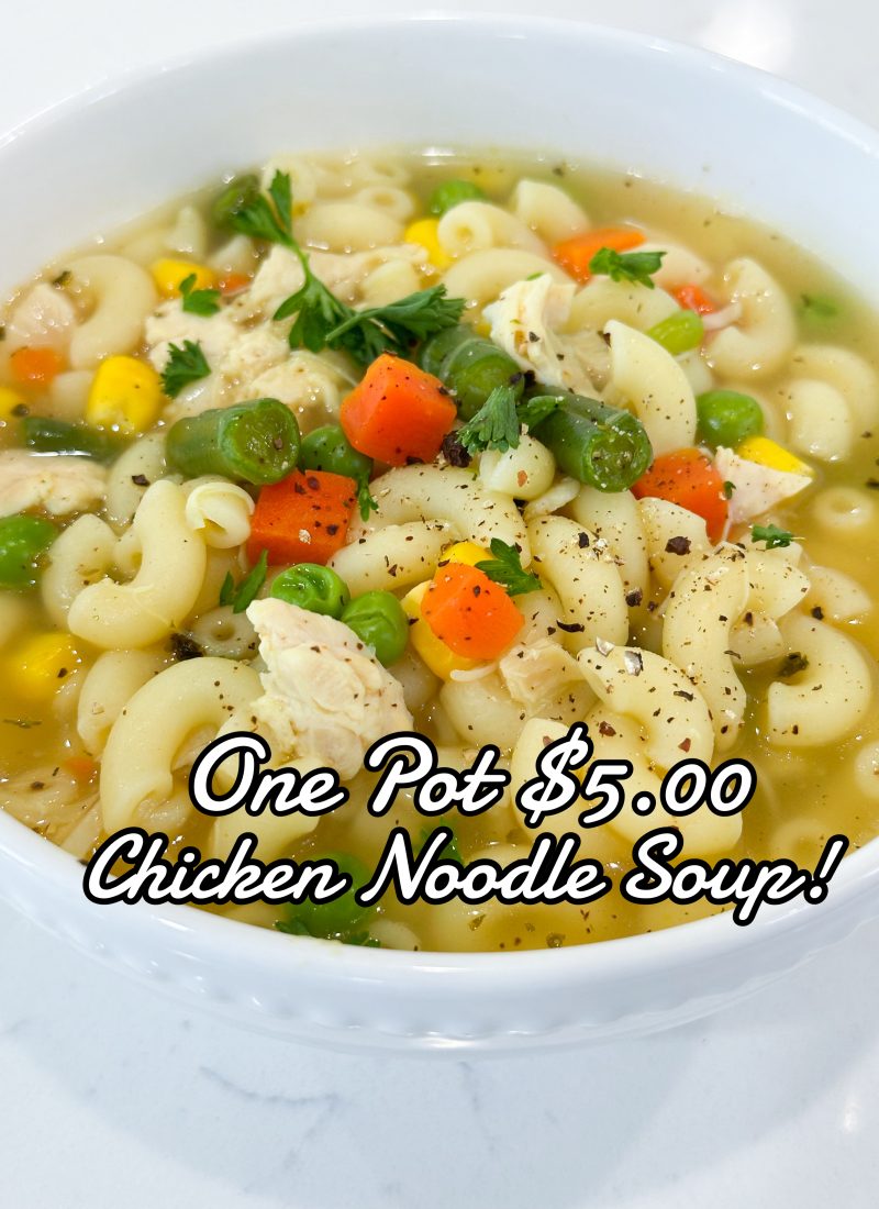 one pot chicken noodle soup