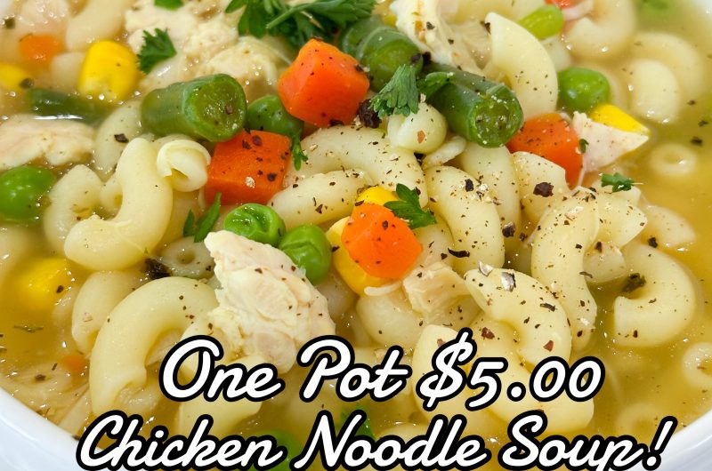 One Pot Chicken Noodle Soup